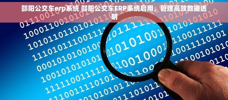 邵阳公交车erp系统 邵阳公交车ERP系统启用，管理高效数据透明
