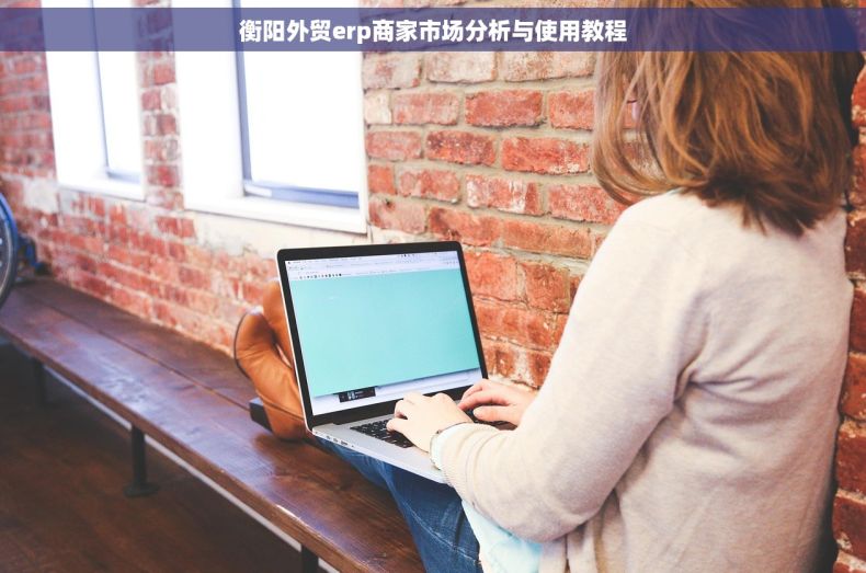 衡阳外贸erp商家市场分析与使用教程