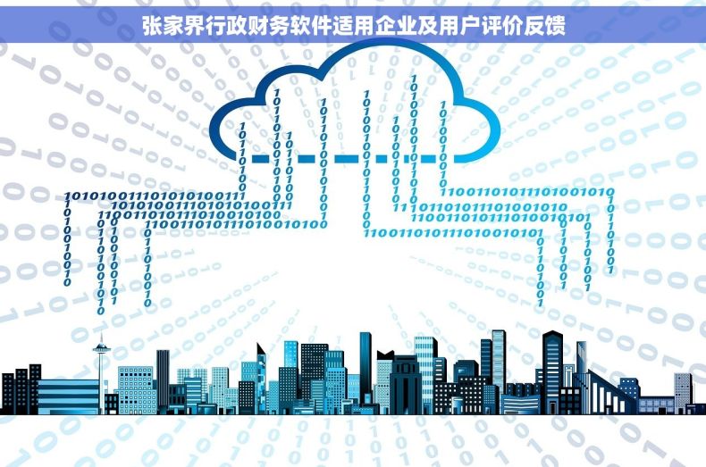 张家界行政财务软件适用企业及用户评价反馈