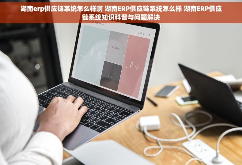 湖南erp供应链系统怎么样啊 湖南ERP供应链系统怎么样 湖南ERP供应链系统知识科普与问题解决