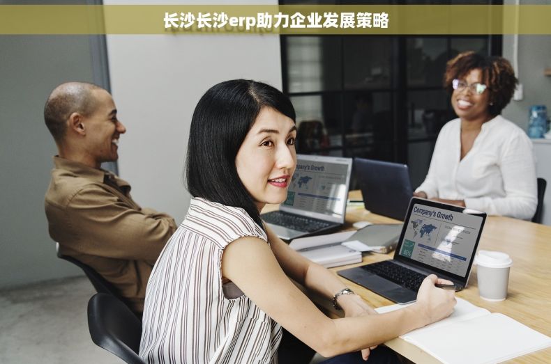 长沙长沙erp助力企业发展策略