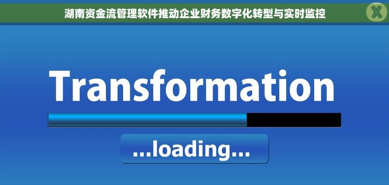 湖南资金流管理软件推动企业财务数字化转型与实时监控