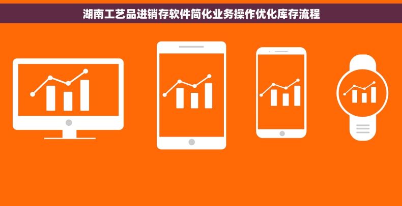 湖南工艺品进销存软件简化业务操作优化库存流程
