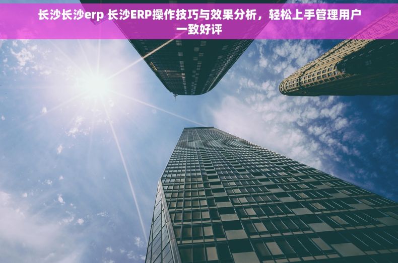 长沙长沙erp 长沙ERP操作技巧与效果分析，轻松上手管理用户一致好评