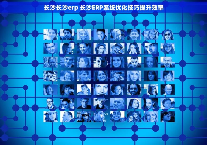 长沙长沙erp 长沙ERP系统优化技巧提升效率