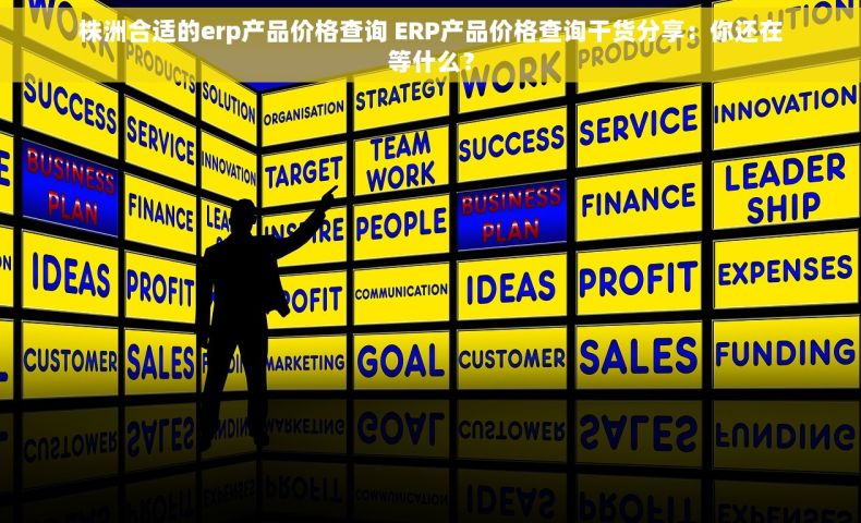 株洲合适的erp产品价格查询 ERP产品价格查询干货分享：你还在等什么？