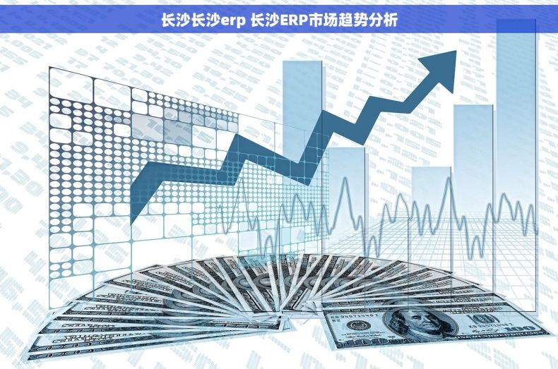 长沙长沙erp 长沙ERP市场趋势分析