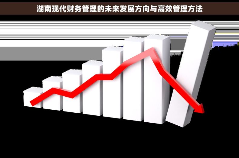 湖南现代财务管理的未来发展方向与高效管理方法