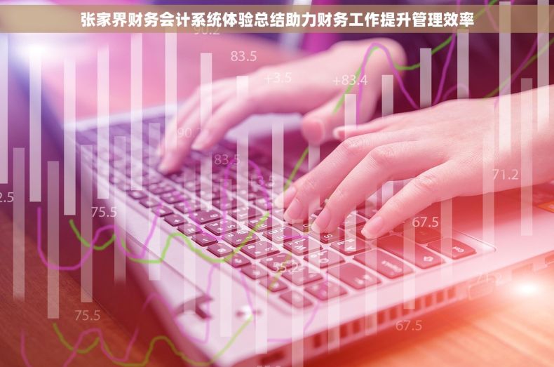 张家界财务会计系统体验总结助力财务工作提升管理效率