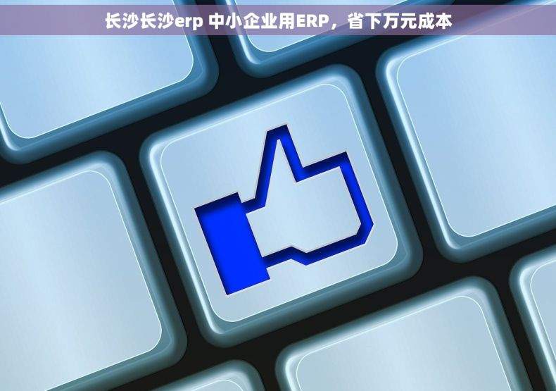 长沙长沙erp 中小企业用ERP，省下万元成本