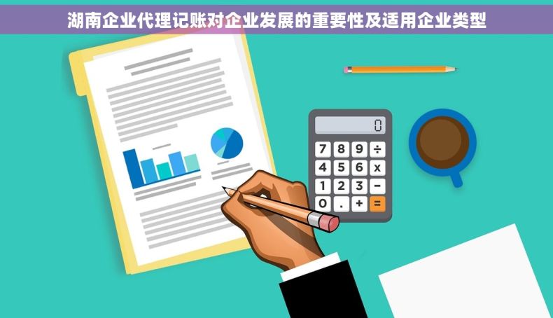 湖南企业代理记账对企业发展的重要性及适用企业类型