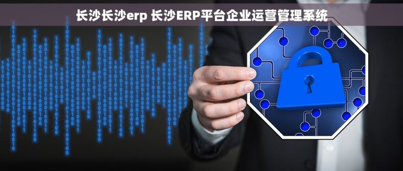 长沙长沙erp 长沙ERP平台企业运营管理系统