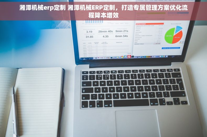 湘潭机械erp定制 湘潭机械ERP定制，打造专属管理方案优化流程降本增效