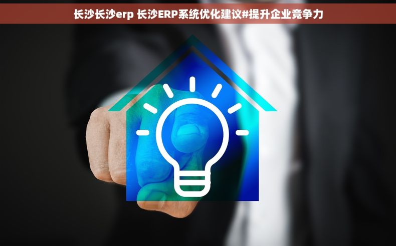 长沙长沙erp 长沙ERP系统优化建议#提升企业竞争力