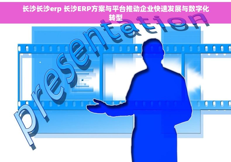 长沙长沙erp 长沙ERP方案与平台推动企业快速发展与数字化转型