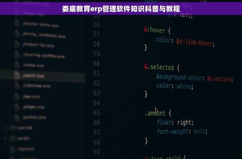 娄底教育erp管理软件知识科普与教程