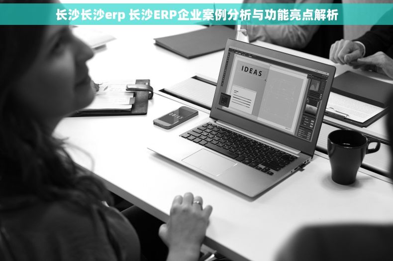 长沙长沙erp 长沙ERP企业案例分析与功能亮点解析
