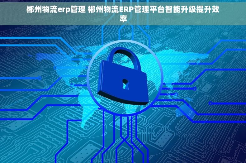 郴州物流erp管理 郴州物流ERP管理平台智能升级提升效率