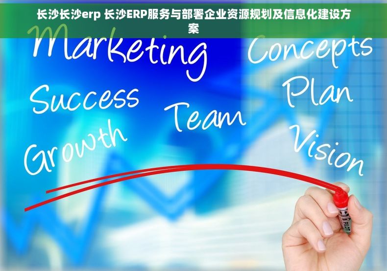 长沙长沙erp 长沙ERP服务与部署企业资源规划及信息化建设方案
