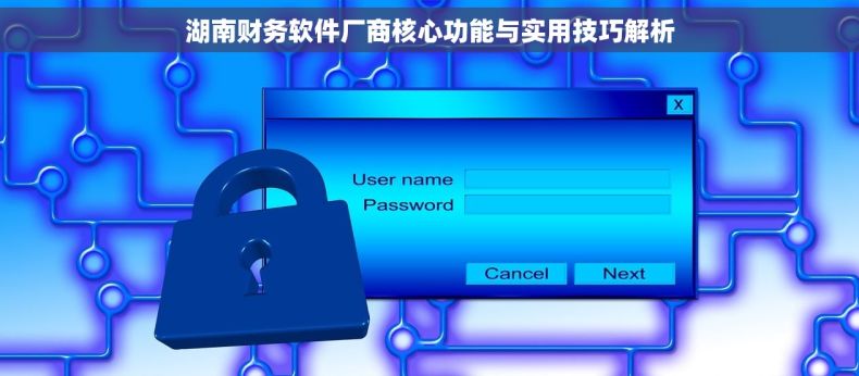 湖南财务软件厂商核心功能与实用技巧解析