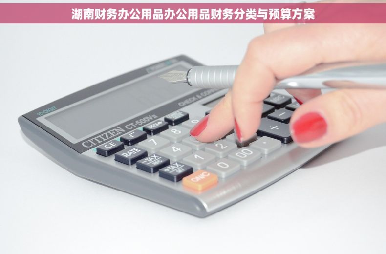 湖南财务办公用品办公用品财务分类与预算方案