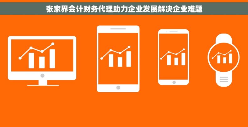 张家界会计财务代理助力企业发展解决企业难题
