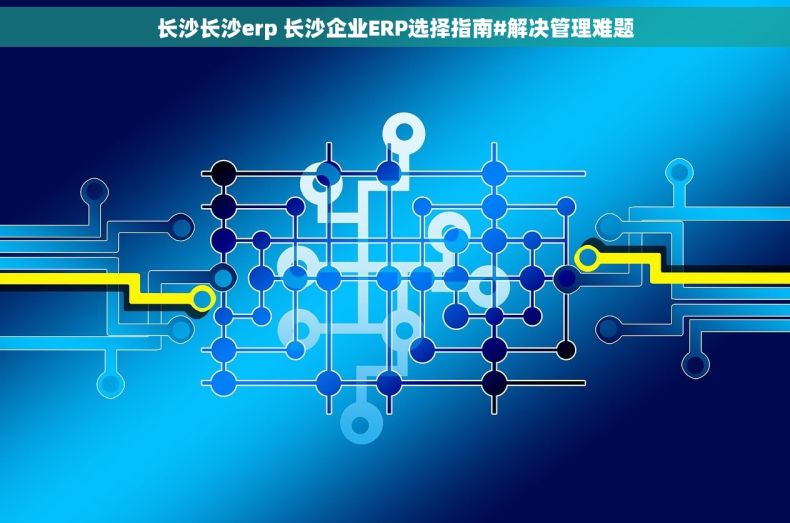 长沙长沙erp 长沙企业ERP选择指南#解决管理难题