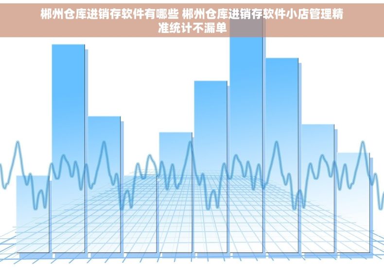 郴州仓库进销存软件有哪些 郴州仓库进销存软件小店管理精准统计不漏单