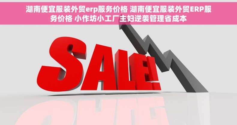 湖南便宜服装外贸erp服务价格 湖南便宜服装外贸ERP服务价格 小作坊小工厂主妇逆袭管理省成本