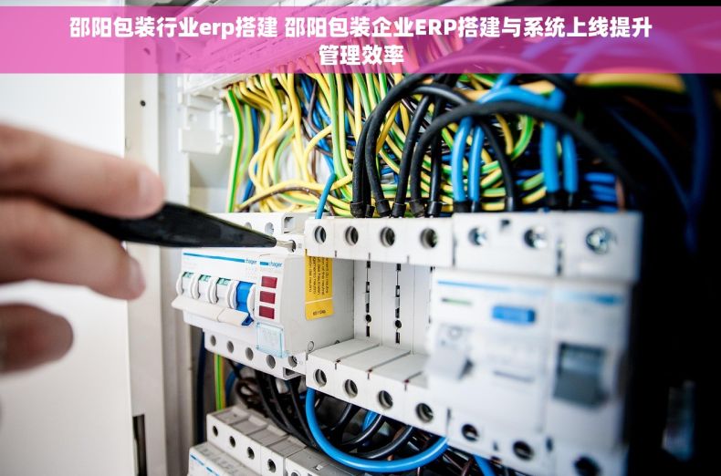 邵阳包装行业erp搭建 邵阳包装企业ERP搭建与系统上线提升管理效率