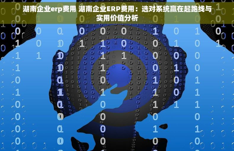 湖南企业erp费用 湖南企业ERP费用：选对系统赢在起跑线与实用价值分析