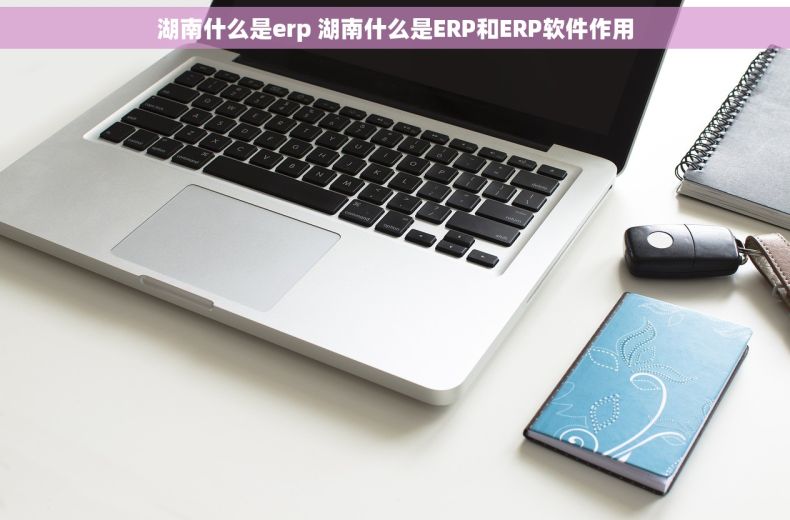 湖南什么是erp 湖南什么是ERP和ERP软件作用