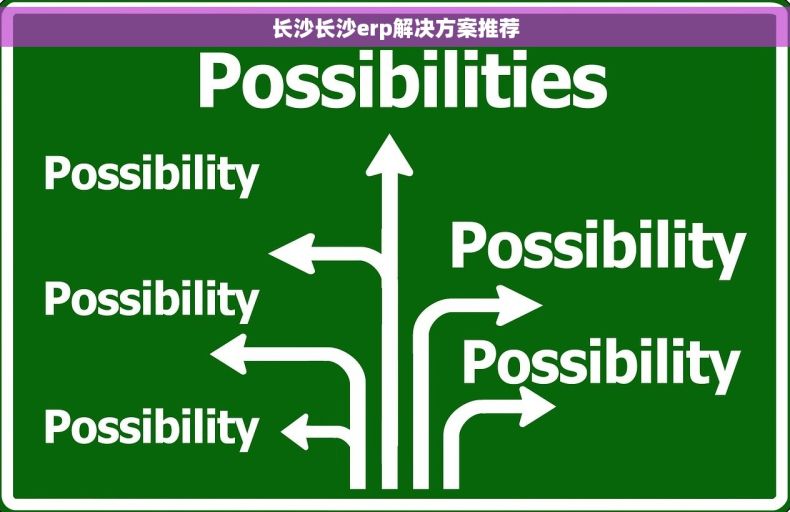 长沙长沙erp解决方案推荐