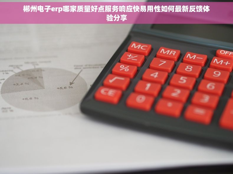 郴州电子erp哪家质量好点服务响应快易用性如何最新反馈体验分享