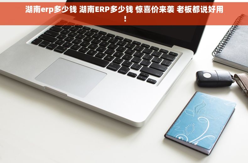 湖南erp多少钱 湖南ERP多少钱 惊喜价来袭 老板都说好用！