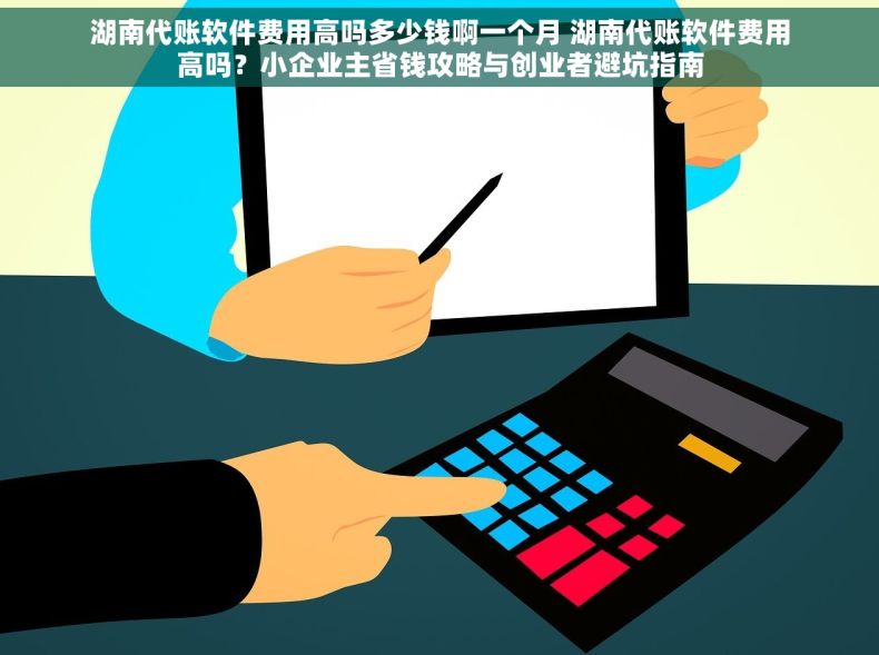 湖南代账软件费用高吗多少钱啊一个月 湖南代账软件费用高吗？小企业主省钱攻略与创业者避坑指南