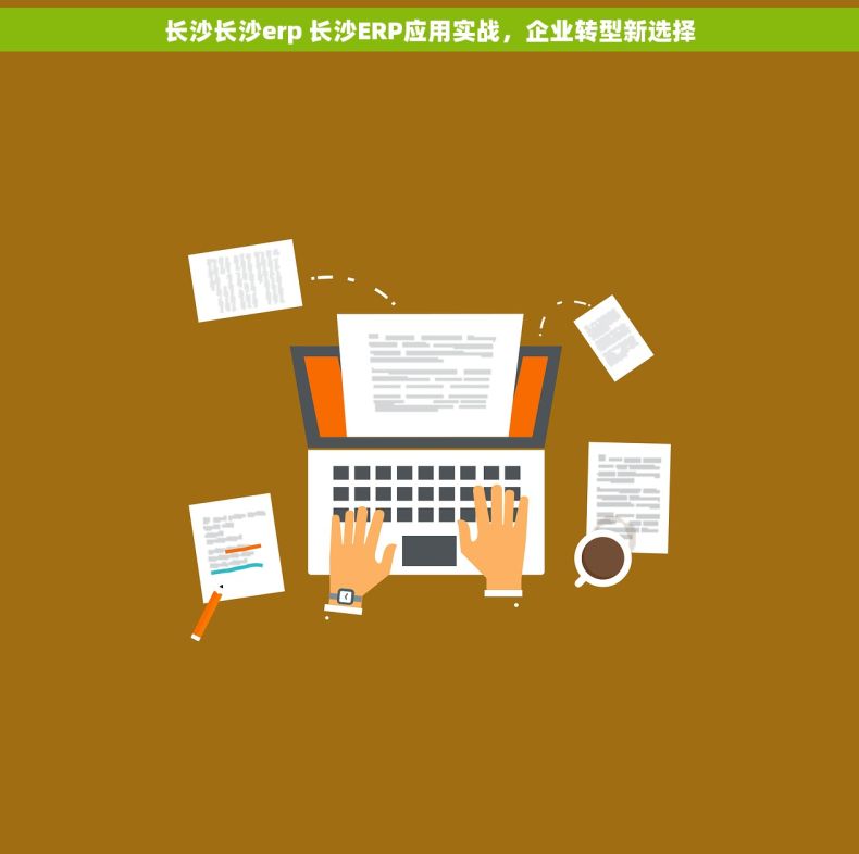 长沙长沙erp 长沙ERP应用实战，企业转型新选择