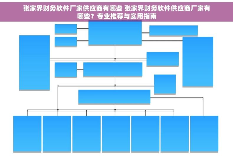 张家界财务软件厂家供应商有哪些 张家界财务软件供应商厂家有哪些？专业推荐与实用指南