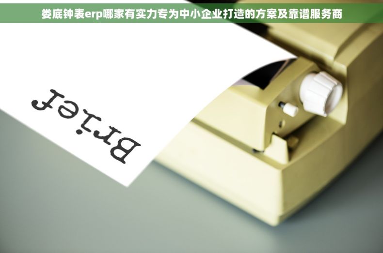 娄底钟表erp哪家有实力专为中小企业打造的方案及靠谱服务商