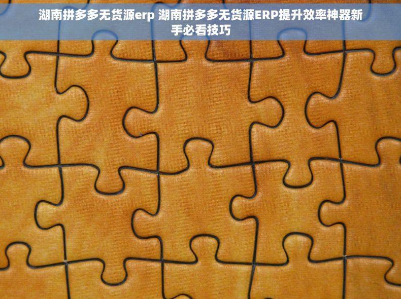 湖南拼多多无货源erp 湖南拼多多无货源ERP提升效率神器新手必看技巧