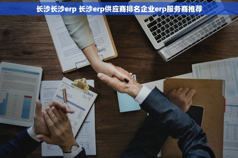 长沙长沙erp 长沙erp供应商排名企业erp服务商推荐