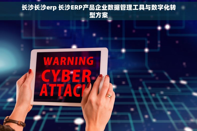 长沙长沙erp 长沙ERP产品企业数据管理工具与数字化转型方案