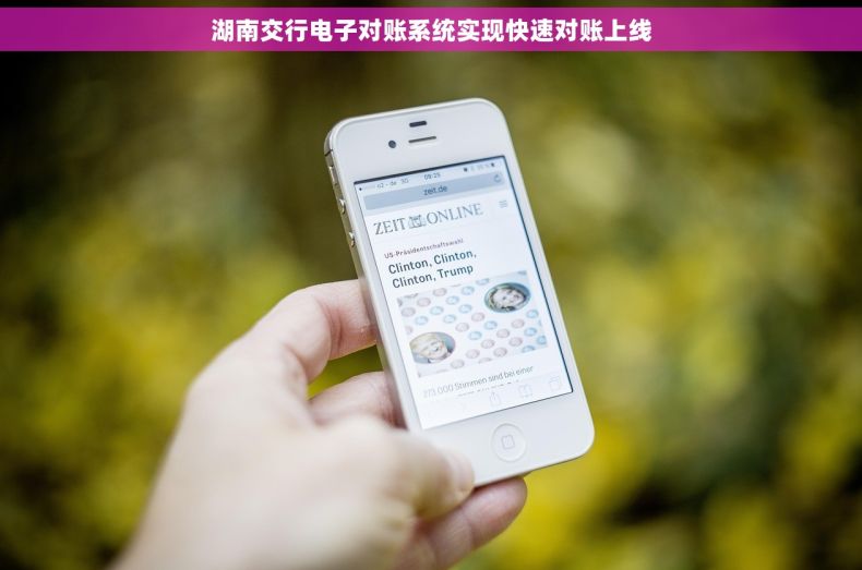湖南交行电子对账系统实现快速对账上线