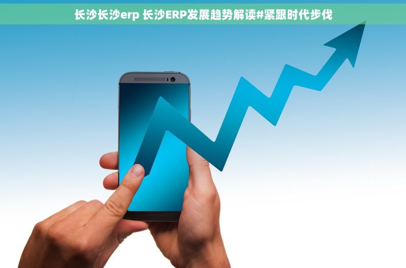 长沙长沙erp 长沙ERP发展趋势解读#紧跟时代步伐