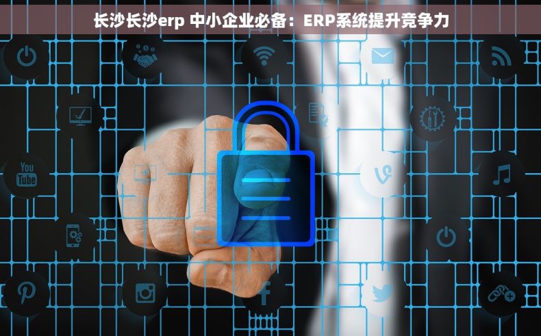 长沙长沙erp 中小企业必备：ERP系统提升竞争力