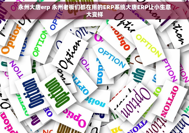 永州大唐erp 永州老板们都在用的ERP系统大唐ERP让小生意大变样