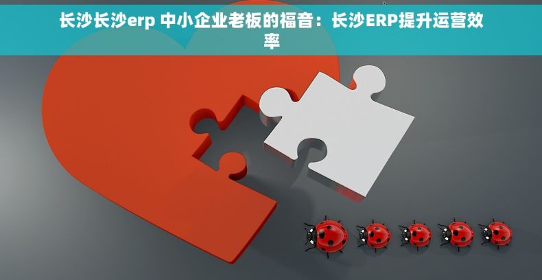 长沙长沙erp 中小企业老板的福音：长沙ERP提升运营效率