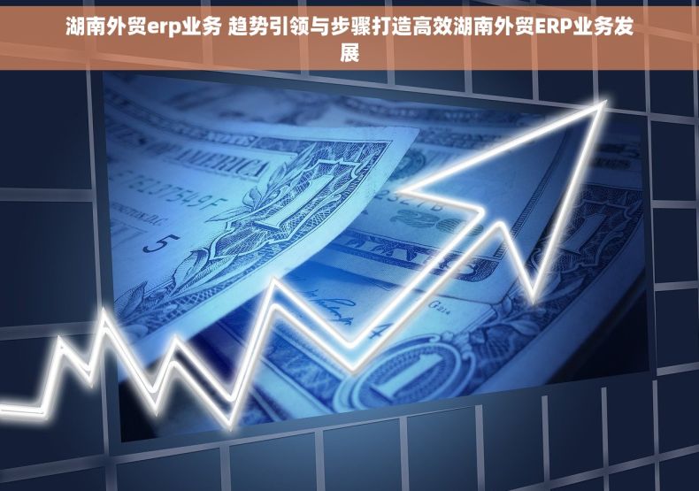 湖南外贸erp业务 趋势引领与步骤打造高效湖南外贸ERP业务发展