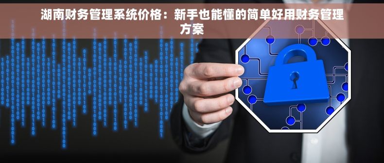 湖南财务管理系统价格：新手也能懂的简单好用财务管理方案