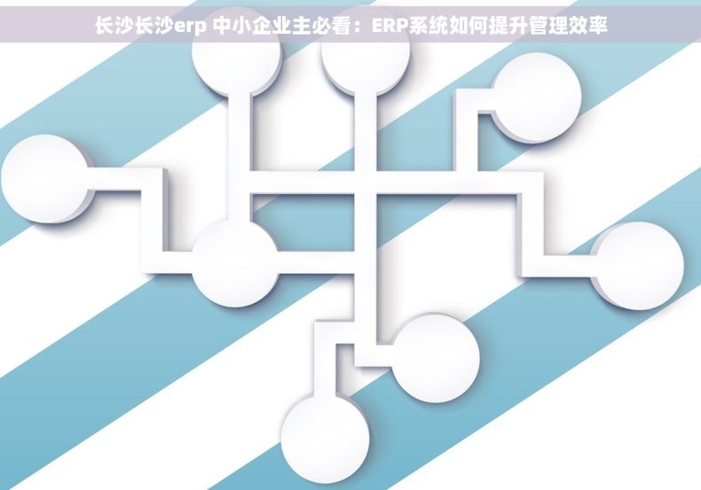 长沙长沙erp 中小企业主必看：ERP系统如何提升管理效率